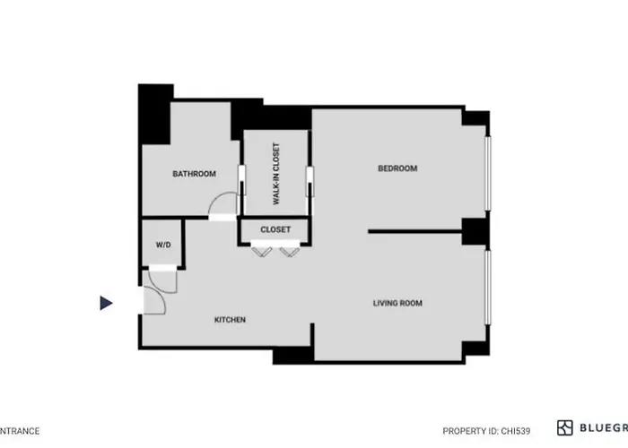 Апартаменты W Loop W Gym Pool In Heart Of Greektown Chi-539 *
